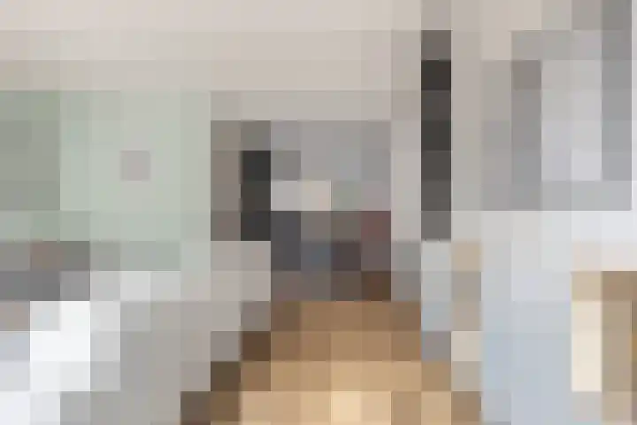 Wachtspoor 10 Assendelft thumbnail 7