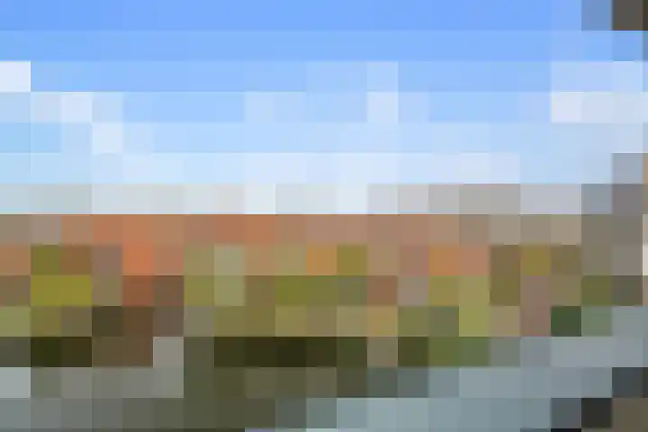 Waddenring 117 Barendrecht thumbnail 38