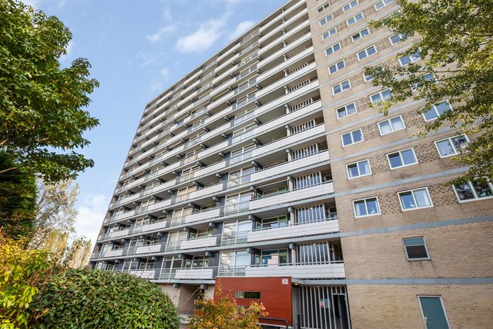 Waddenstraat 535 in Haarlem foto