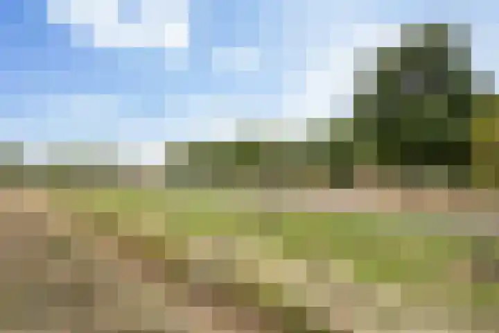 Waddenweg 135 Hoofddorp thumbnail 42