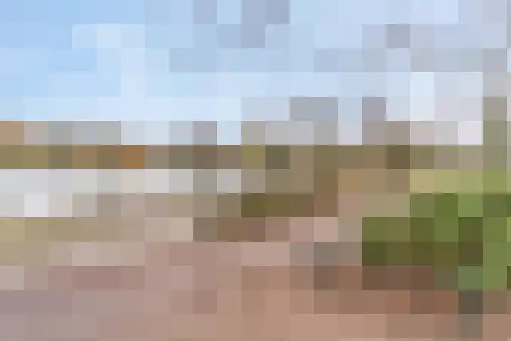 Wadestein 28 Ede thumbnail 29