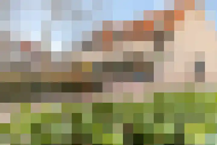 Wadestein 28 Ede thumbnail 30