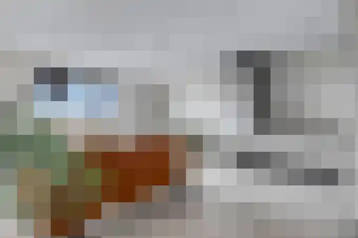 Wadestein 77 Ede thumbnail 5
