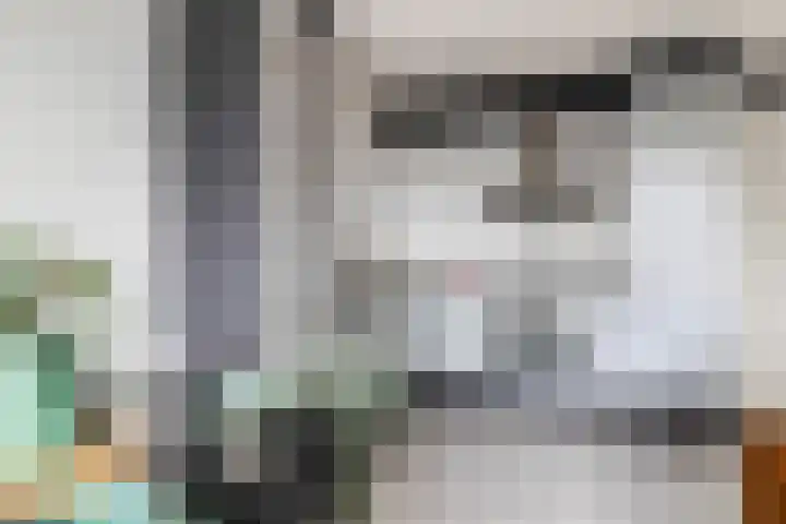 Wadestein 77 Ede thumbnail 7
