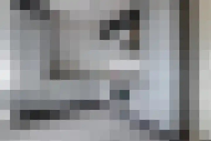 Wadestein 77 Ede thumbnail 8