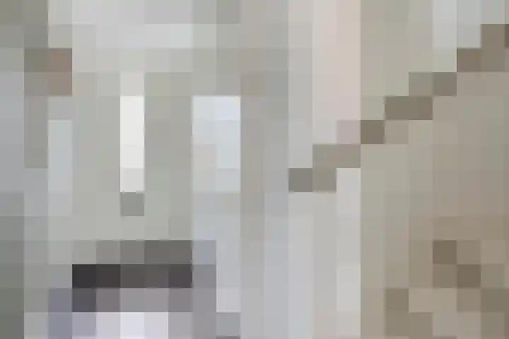 Wadloper 4 Kampen thumbnail 11