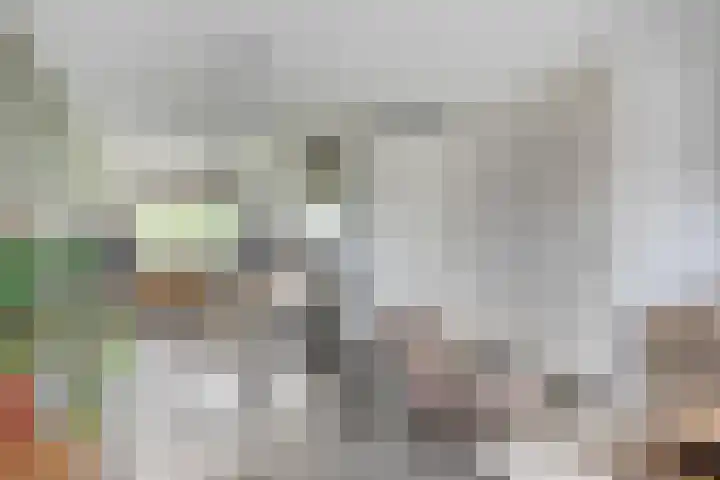 Wadloper 4 Kampen thumbnail 13