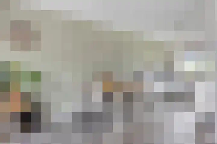 Wadloper 4 Kampen thumbnail 19