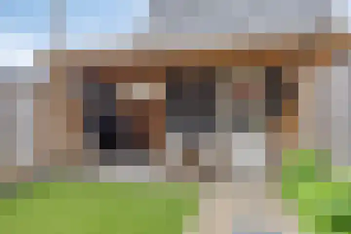 Wadloper 4 Kampen thumbnail 34