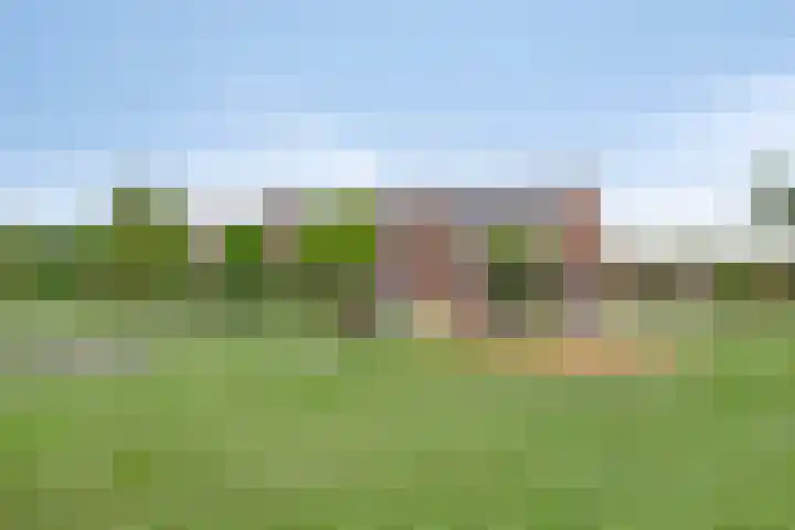 Wadloper 4 Kampen thumbnail 42