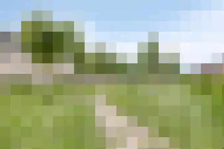 Wadloper 4 Kampen thumbnail 43