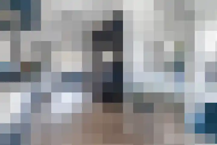 Waechswâl 7 Woudsend thumbnail 13