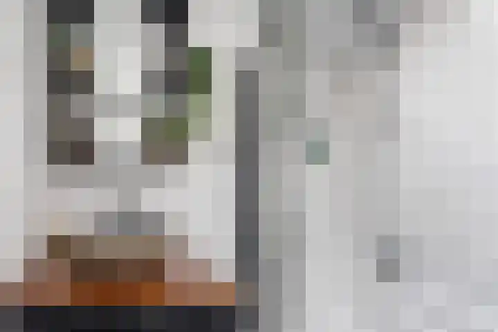 Waechswâl 7 Woudsend thumbnail 18