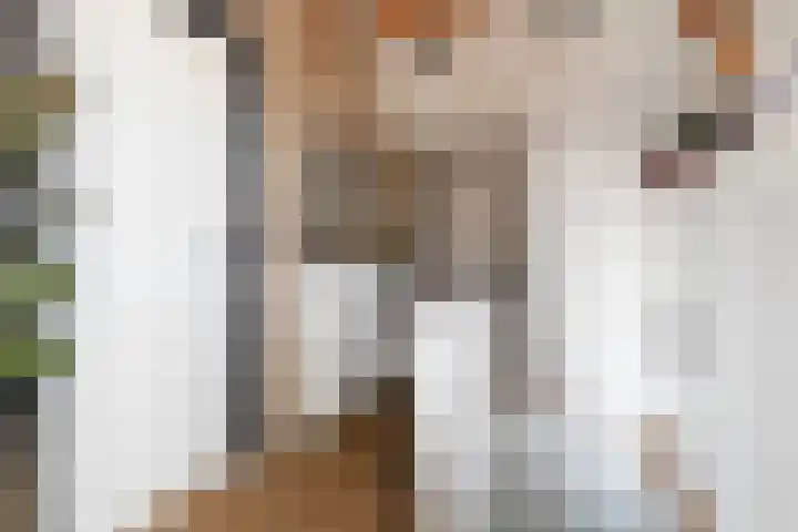 Waechswâl 7 Woudsend thumbnail 19