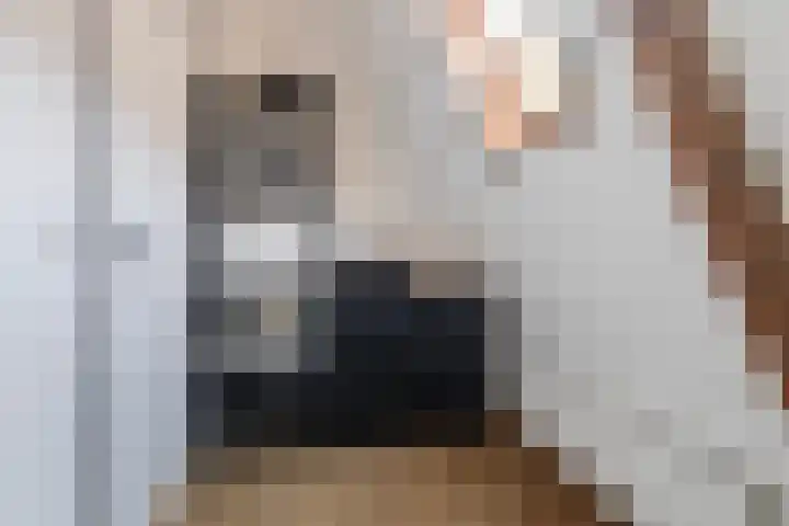 Waechswâl 7 Woudsend thumbnail 24