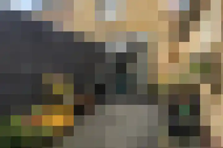 Waechswâl 7 Woudsend thumbnail 27