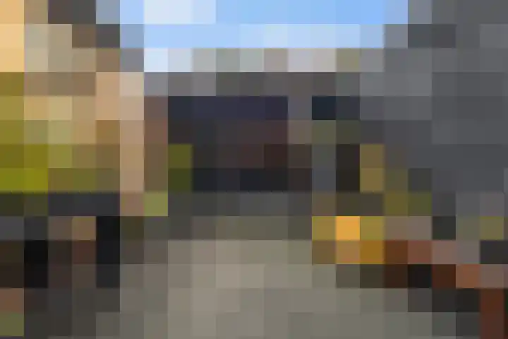 Waechswâl 7 Woudsend thumbnail 28