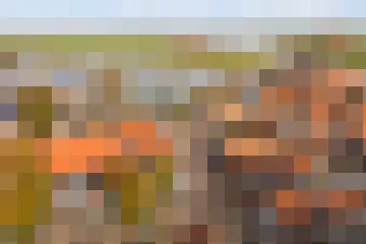 Waechswâl 7 Woudsend thumbnail 36