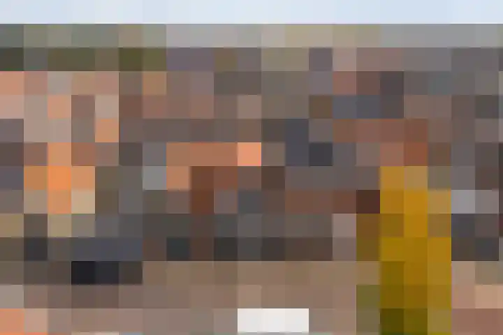 Waechswâl 7 Woudsend thumbnail 44