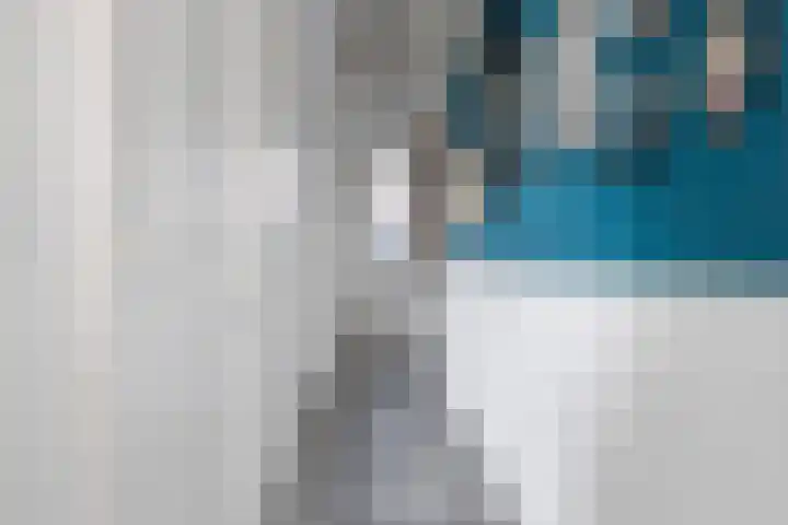 Waechswâl 7 Woudsend thumbnail 6