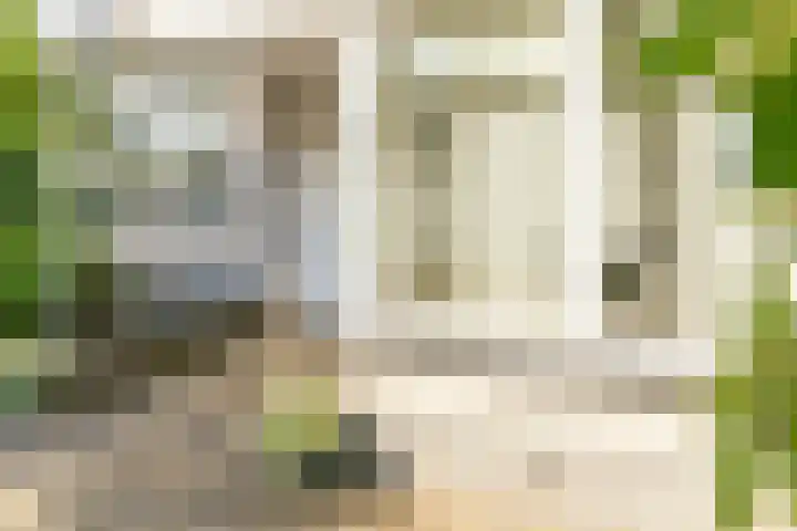 Wagenaarstraat 313 Oss thumbnail 19