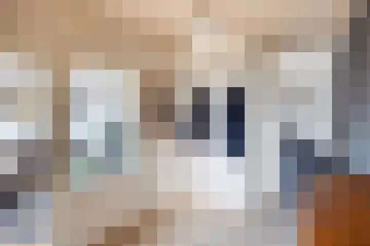 Wagenaarstraat 45 Oss thumbnail 7