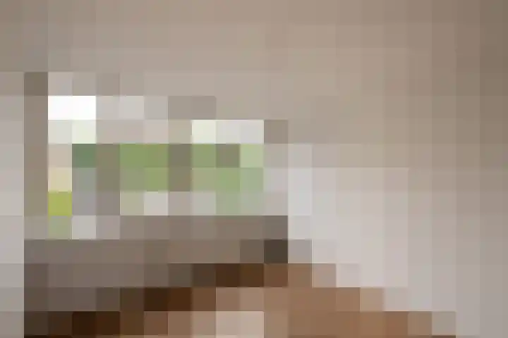 Wagenaarstraat 5 Oss thumbnail 14