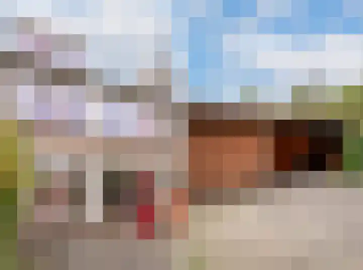 Wagenaarstraat 5 Oss thumbnail 19
