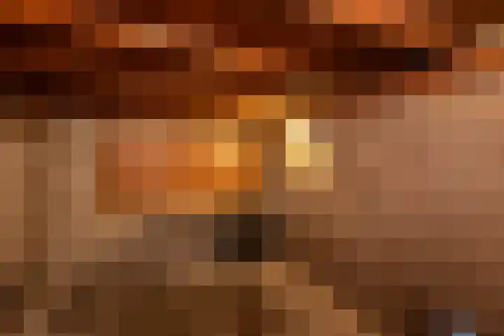 Wagenaarstraat 5 Oss thumbnail 22