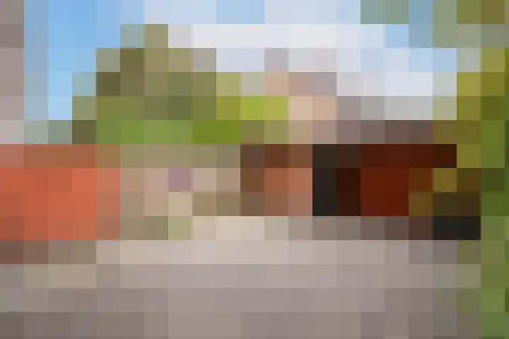 Wagenaarstraat 5 Oss thumbnail 4