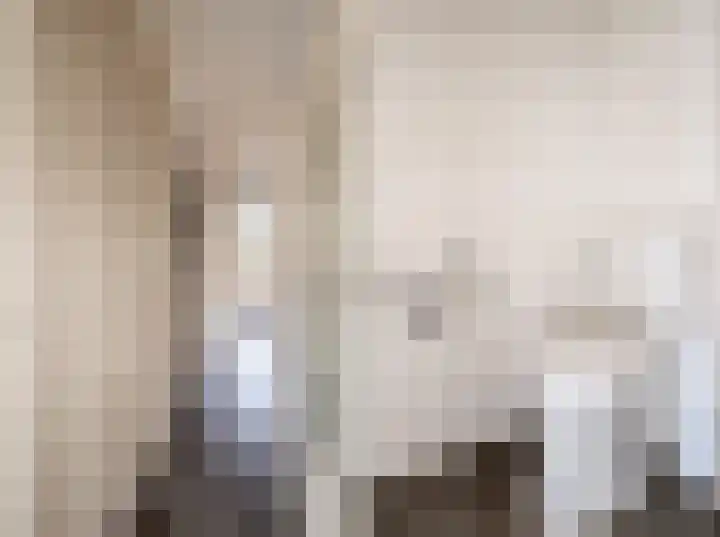 Wagenaarstraat 5 Oss thumbnail 6