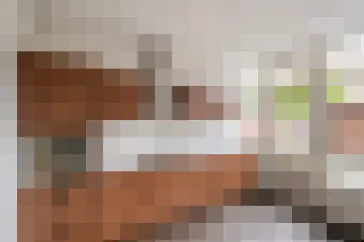Wagenaarstraat 5 Oss thumbnail 9