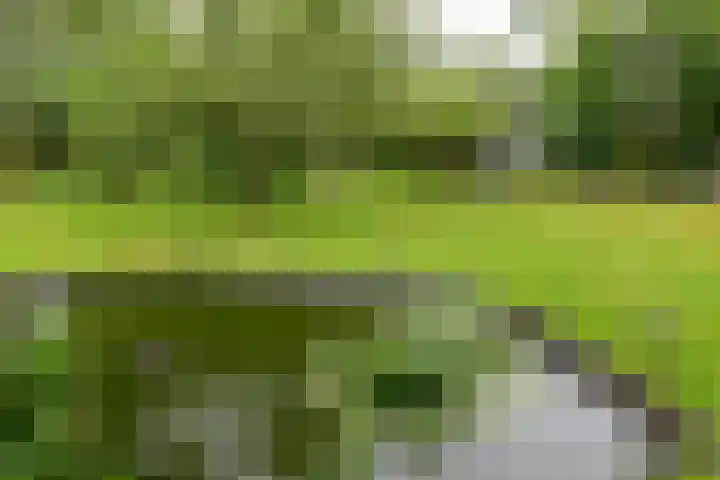 Wagendijk 10 a Kockengen thumbnail 30