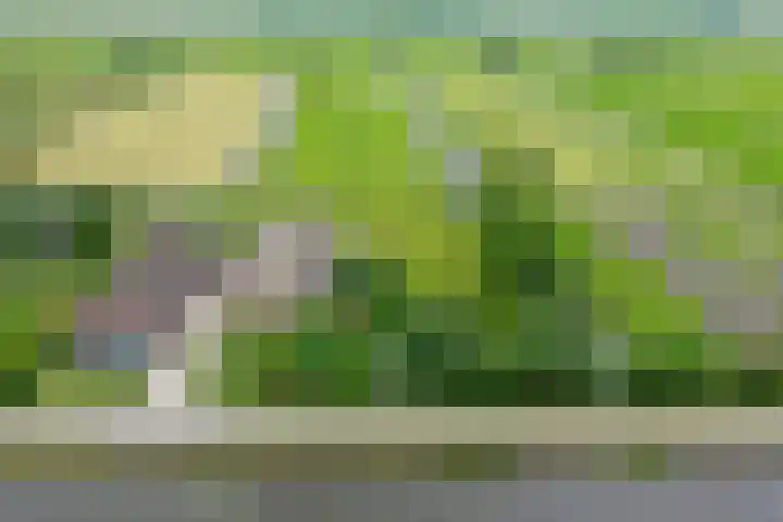 Wagendijk 10 a Kockengen thumbnail 38