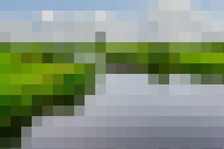Wagendijk 10 a Kockengen thumbnail 39