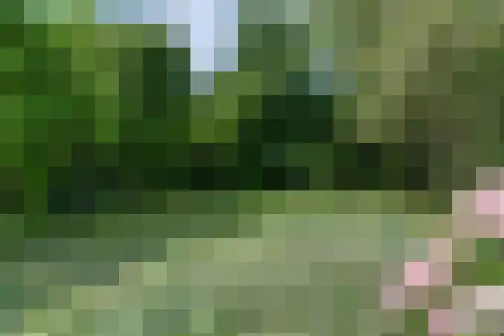 Wagendijk 16 Kockengen thumbnail 64