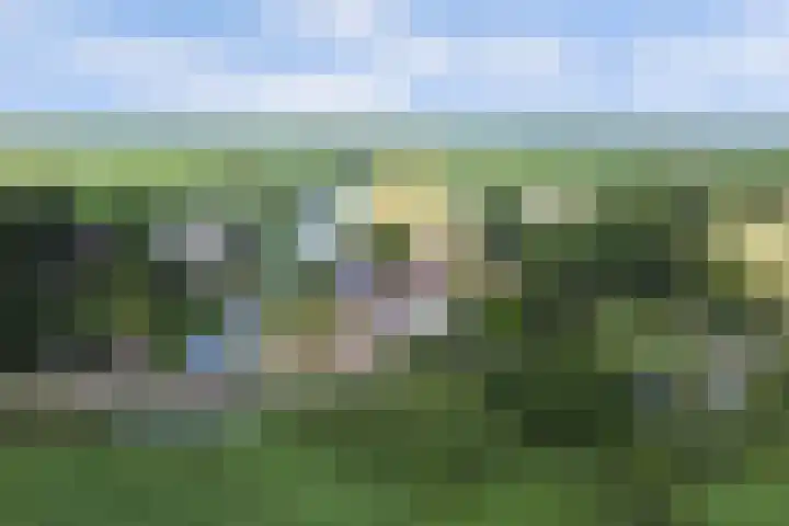 Wagendijk 16 Kockengen thumbnail 68