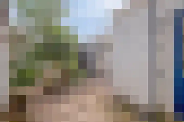 Wagenmaker 1 in Best