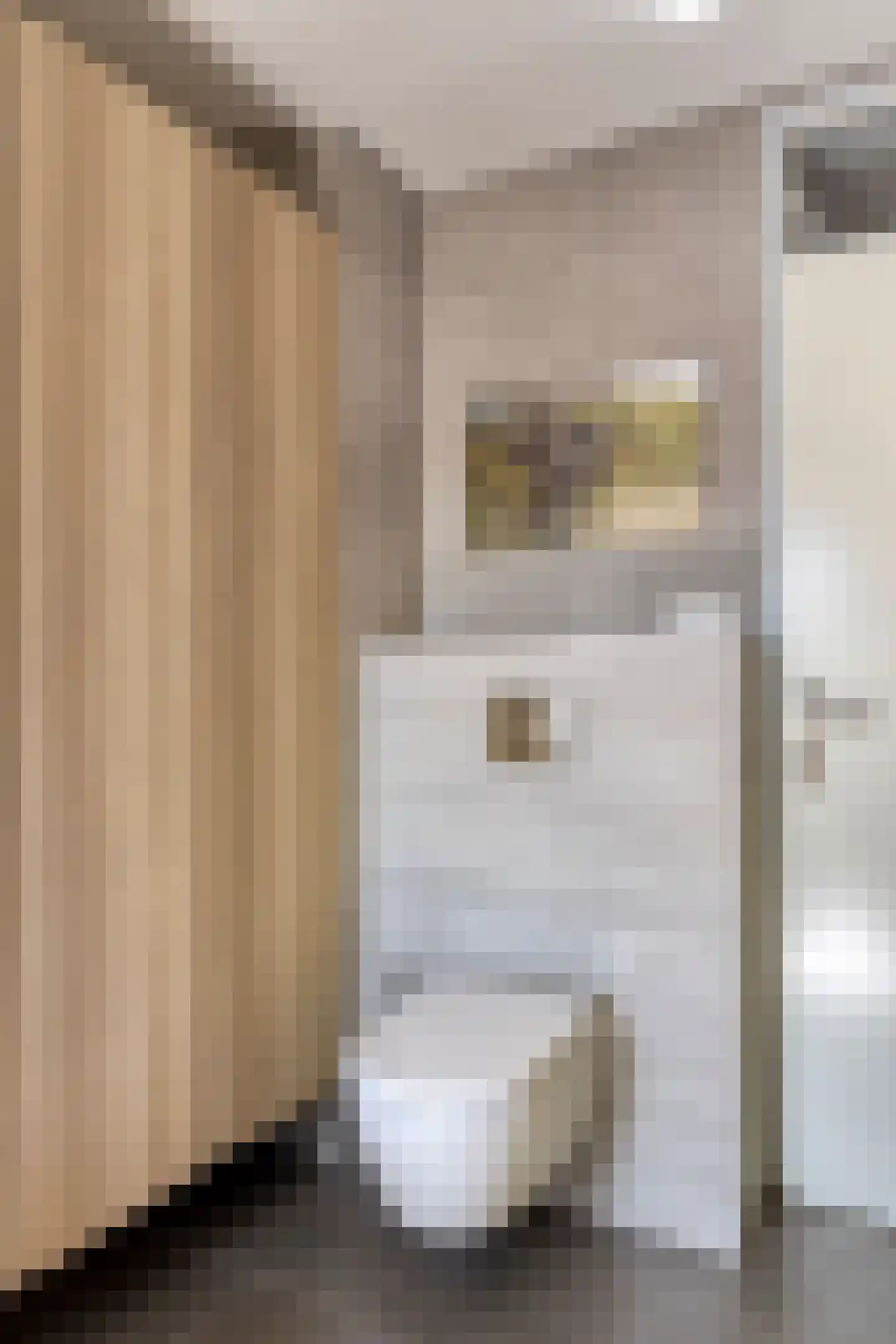 Wagenmaker 1 Best thumbnail 25