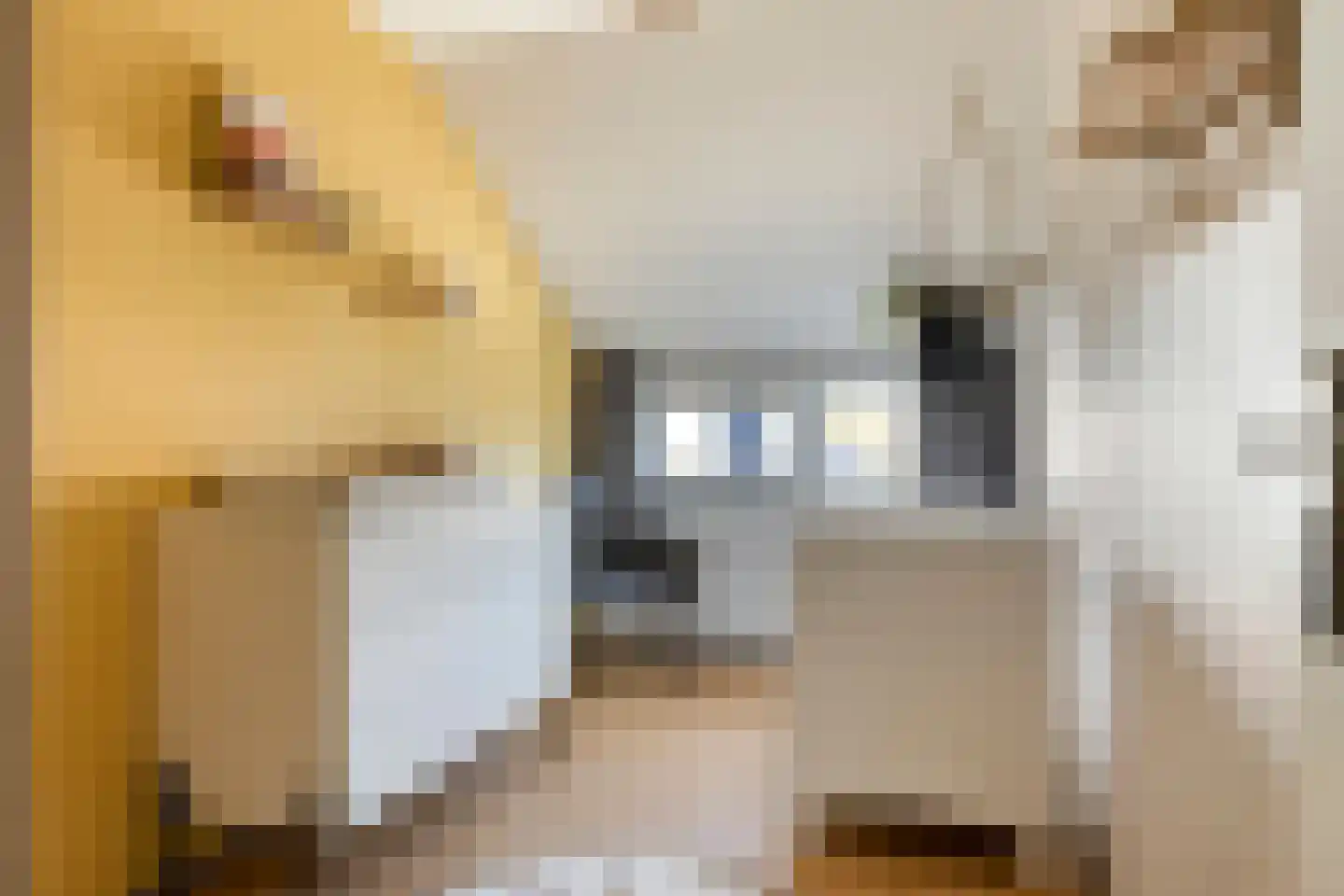Wagenmaker 1 Best thumbnail 26