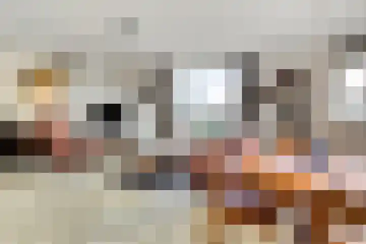 Wagenmaker 10 Leiderdorp thumbnail 10