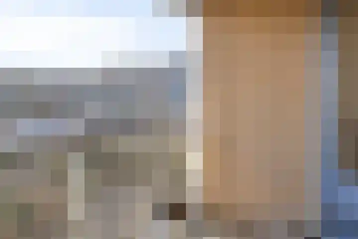 Wagenmaker 10 Leiderdorp thumbnail 15