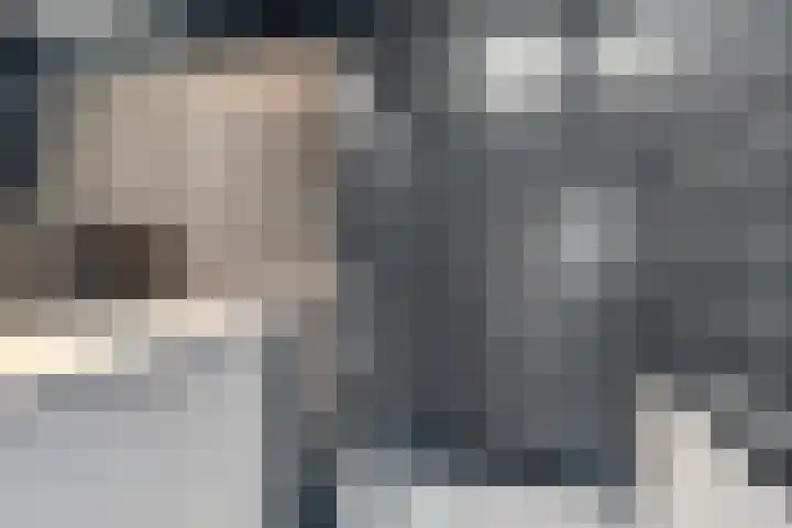 Wagenmaker 10 Leiderdorp thumbnail 20