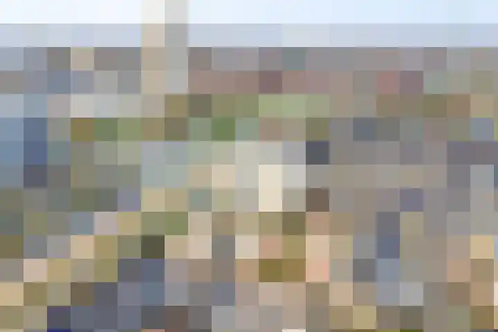 Wagenmaker 10 Leiderdorp thumbnail 28