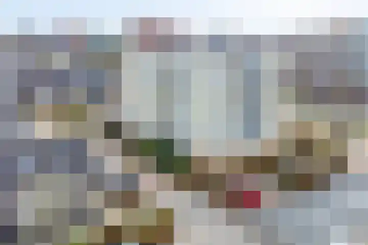 Wagenmaker 10 Leiderdorp thumbnail 30