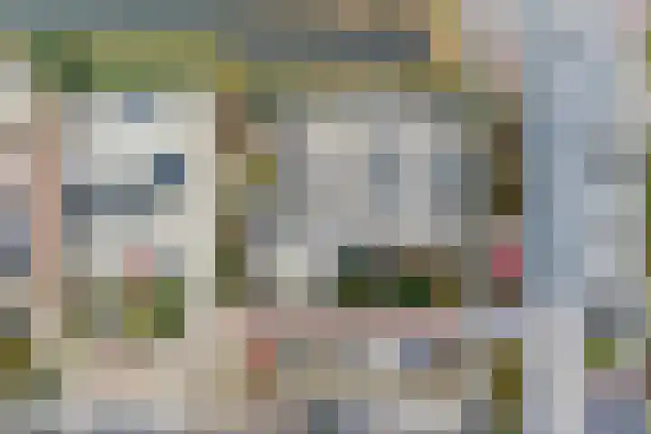 Wagenmaker 10 Leiderdorp thumbnail 33