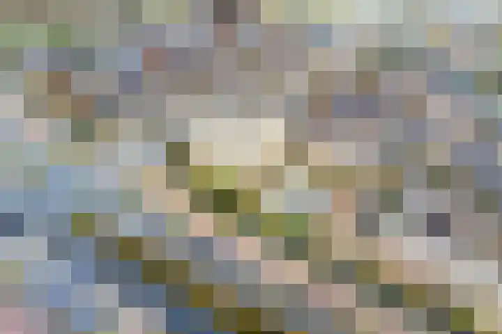 Wagenmaker 10 Leiderdorp thumbnail 34