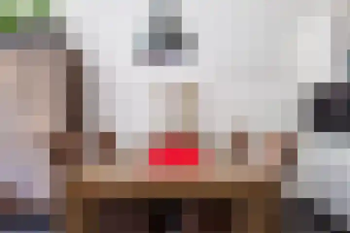 Wagenmaker 12 Beuningen Gld thumbnail 11