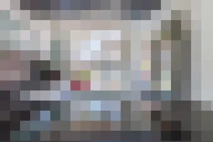 Wagenmaker 12 Beuningen Gld thumbnail 19