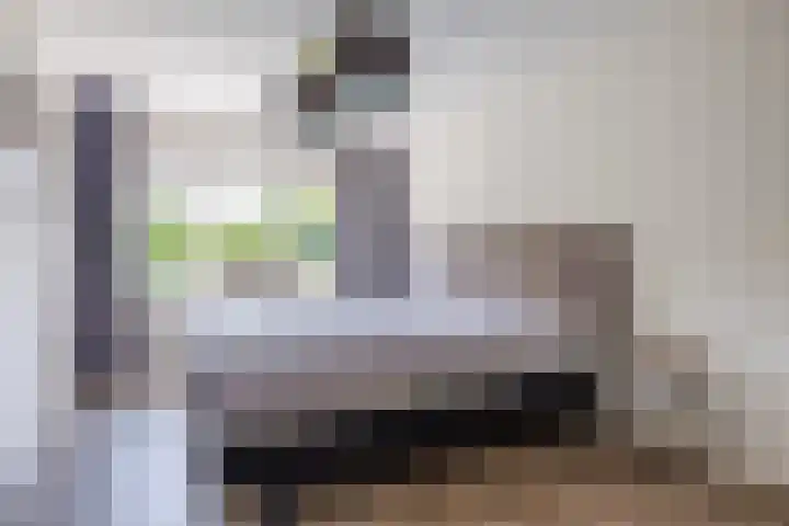 Wagenmaker 12 Beuningen Gld thumbnail 22
